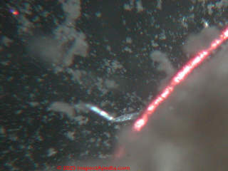 Asbestos insulation under the microscope at low power transmitted light (C) InspectApedia.com Lapenna