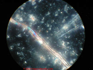 Asbestos insulation under the microscope with  polarized light (C) InspectApedia.com Lapenna