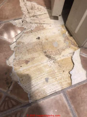 Congoleum flooring suspected to contain  asbestos (C) InspectApedia.com Sheika