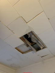 Water stained cellulose type ceiling tile asbestos risk? (C) InspectApedia.com Nick