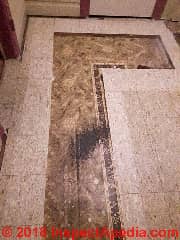 Congoleum Nairn-like bordered linoleum sheet flooring (C) InspectApedia.com WT