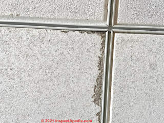 Drop ceiling tile probably not asbestos (C) InspectApedia.com Thomas