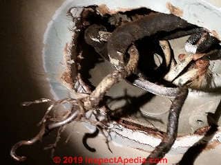 Damaged electrical wire insulation at a light fixture (C) Daniel Friedman at InspectApedia.com