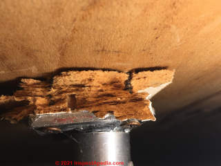 Wood product ceiling tile does not contain asbestos (C) InspectApedia.com Mark