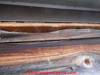 Ridge cap removed on new roof installed to keep out bats, now see a moisture problem (C) InspectApedia.com  Redsail