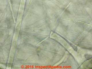 Mineral wool or slag wool insulation under the microscope (C) Daniel Friedman