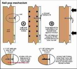 Nail pop mechanism in walls (C) Carson Dunlop Associates