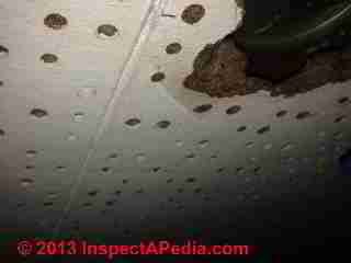 Acousting ceiling tile tested not asbestos (C) InspectApedia R.N. 