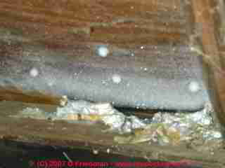 Photograph of frost in an attic - evidence of a source of attic mold and moisture damage