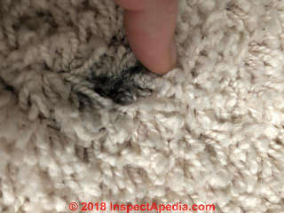Black stains under surface of "new" carpeting (C) InspectApedia.com  Heather