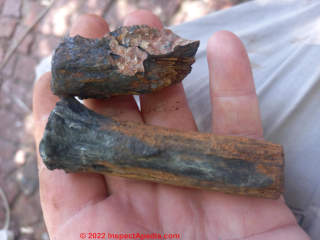 Cape Town South Africa nail remnants on beach and water (C) InspectApedia.com Brent