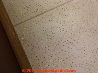 Asbestos-free 12x12 inch ceiling tiles (C) InspectApedia.com JS