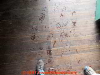 Jarra wood-like floor in Christchurch New Zealand (C) Daniel Friedman at InspectApedia.com