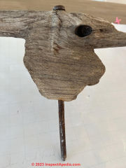 spike found in driftwood on coast (C) InspectApedia.com Lenny