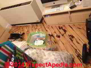 Wood floor with apparent water and rot and mold damage - site of complaint of maple syrup sweet odor complaint (C) InspectApedia H.G. 