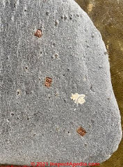 Rust-colored iron like inclusions in stone, not nails? Kinagoe Bay, Ireland (C) InspectApedia.com Mc Laughlin