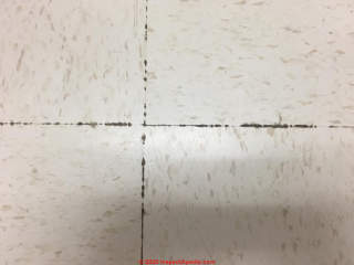 Black tile mastic adhesive seeping up through vinyl floor tiles at joints (C) InspectApedia.com ReynoldsT