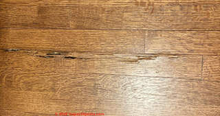 Termite damaged wood flooring (C) InspectApedia.com Pho