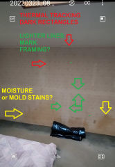 Thermal tracking but also brown  stains that may be mold (C) InspectApedia.com Orr
