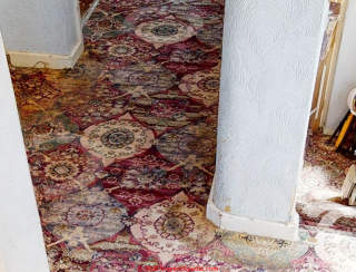 Possible water leak stains on carpet (C) InspectApedia.com Matt