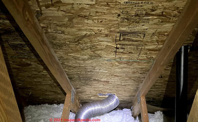 Moldy roof trusses (C) InspectApedia.com Will