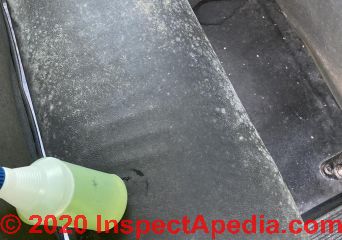 Extensive mold contamination on bus seat upholstery and possibly hidden mold in buses (C) InspectApedia.com Cindy