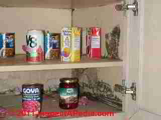 Photo of mold on walls and shelves in kitchen pantry (C) Daniel Friedman