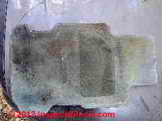 Moldy car floor mat © D Friedman at InspectApedia.com 
