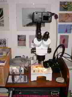Photograph of a stereo microscope combined with a Nikon Coolpix 9500 digital camera