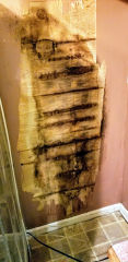 Water damaged delaminated wall paneling and mold (C) InspectApedia.com CH