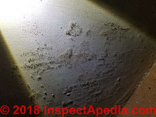 Aspergillus mold growth on drywall in a Poughkeepsie home (C) Daniel Friedman at InspectApedia.com