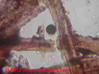 Artwork contaminants - paint droplet (C) D Friedman U Runeberg