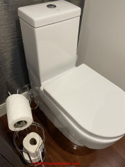 Aqua toilet (C) InspectApedia.com Mike