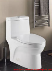 Celite brand one piece toilet at InspectApedia
