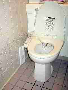 Japanese bidet toilet - Wikipedia creative commons