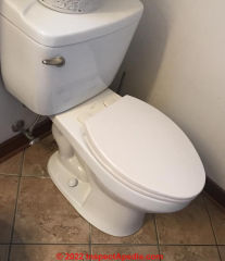Pegasus toilet (C) InspectApedia.com  fmajzer