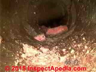 Breaking, deteriorating clay sewer line at a Seattle building (C) L Shields D Friedman