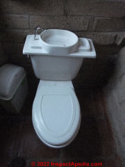 Stilo toilet, Guanajuato Mexico (C) Daniel Friedman at InspectApedia.com