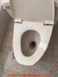 Toilet seat with 10-inch bolt spread (C) InspectApedia.com CA