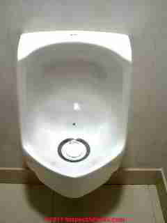 Waterless urinal uses no water at all (C) Daniel Friedman