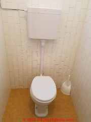 Grohe toilet, Torcello Venice (C) Daniel Friedman at InspectApedia.com