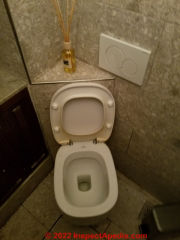 Pozzi Ginori toilet, Installed in Venice, Italy (C) Daniel Friedmanat Inspectapedia.com