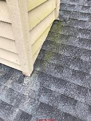 Green algae stains on a two-year-old GAF roof asphalt shingle (C) InspectApedia.com Vertner