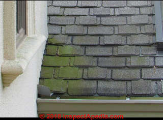 Green algae on a New Jersey roof (C) Inspectapedia.com Dovber Kahn