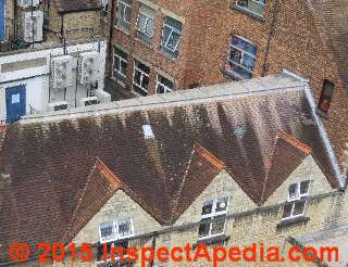Low slope roof covered with lead panels - Oxford (C) Daniel Friedman