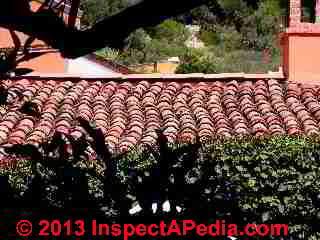 Curving clay tile roof pattern, San Miguel de Allende, Mexico (C) Daniel Friedman