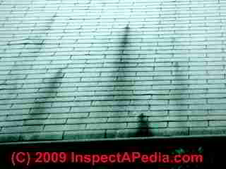 Photograph of possible asphalt shingle bleed-through or extractive bleeding on asphalt roof shingles (C) Daniel Friedman