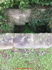Green septic dye breakout shows failed septic system or no septic system (C) InspectApedia.com John