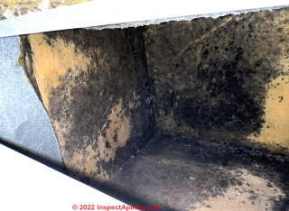 HVAC mold in ducts and vents (C) InspectApedia.com Allison