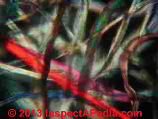 House dust particles - fabric or carpet fibers in polarized light (C) InspectApedia